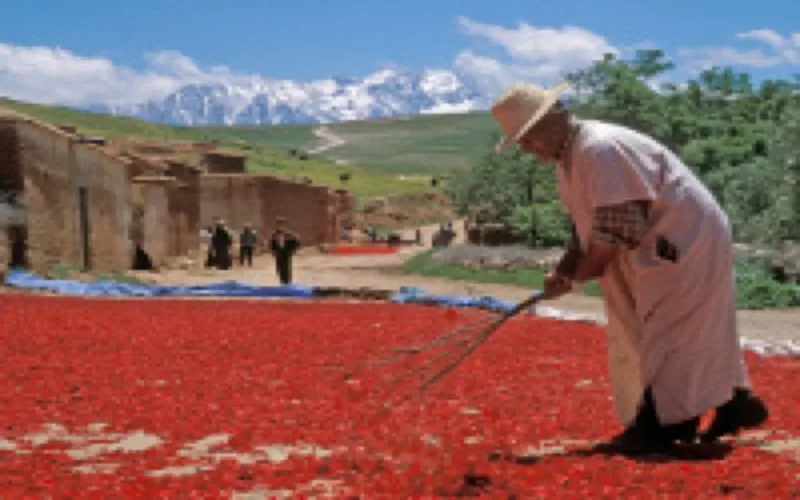 Maroc : 3,7% de croissance en 2010