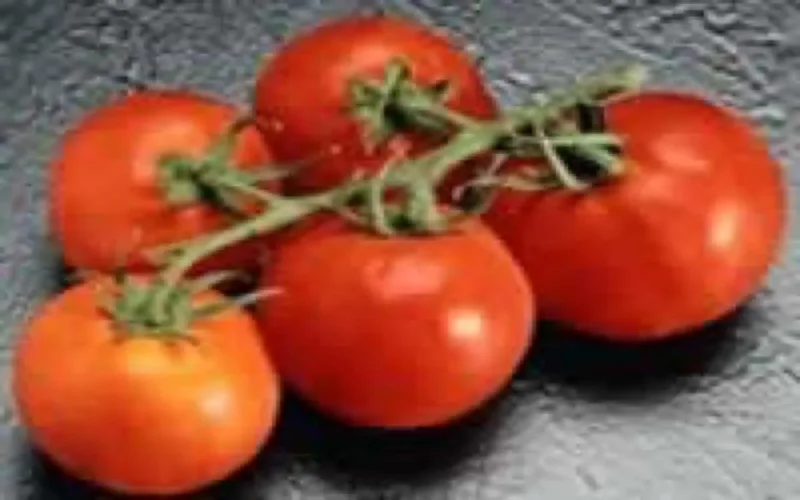  Soutien américain à la réforme agricole au Maroc