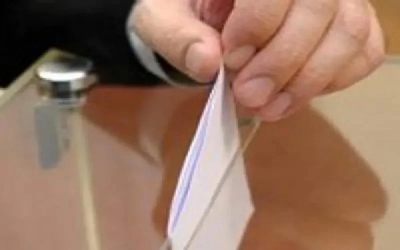 Sondage constitution : 80% de "Oui"