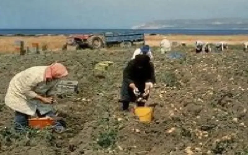 L'Espagne ne fera plus appel aux ouvriers agricoles marocains