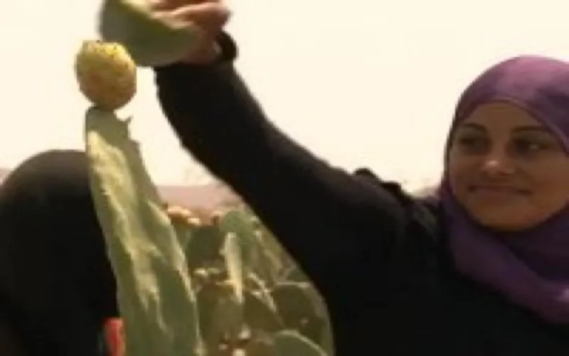 L'huile de figue de barbarie, huile la plus chère au monde