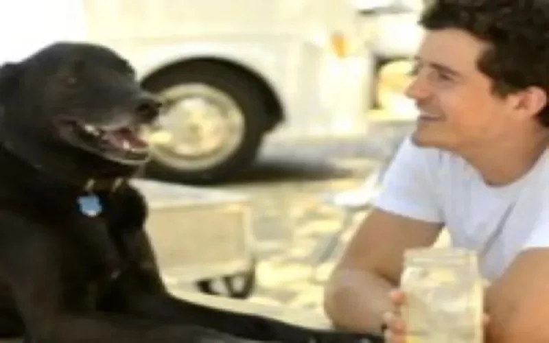 Orlando Bloom et son chien Sidi