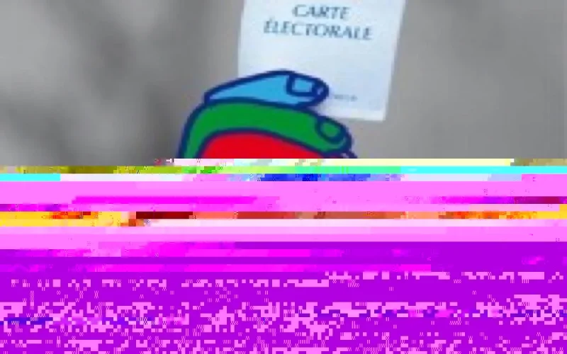 France : vers le droit de vote des étrangers aux élections locales ?