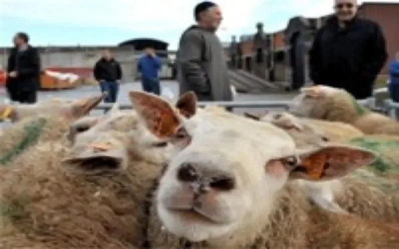 Aid Al Adha 2011 dimanche 6 novembre en France 