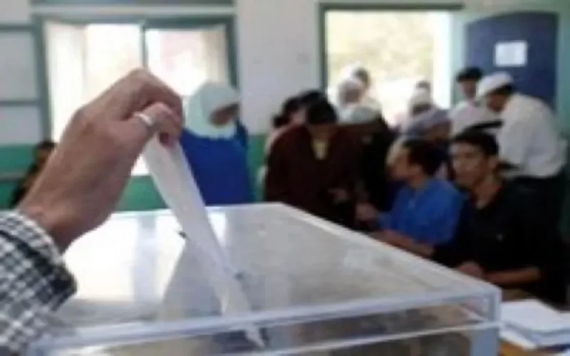 Législatives 2011 : des MRE s'insurgent contre le vote par procuration