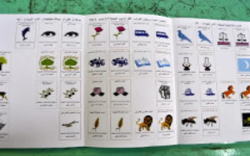 Législatives 2011 : taux de participation de 34% à 17h