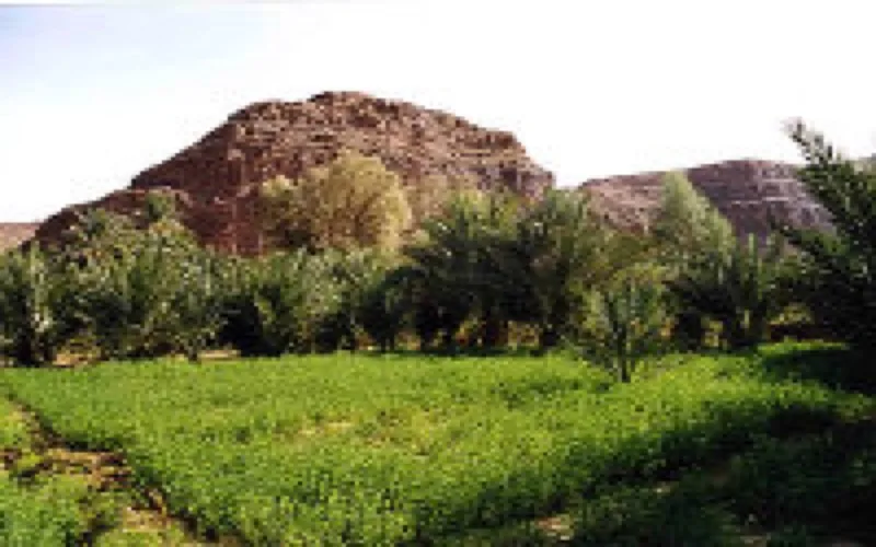 El Jadida : Soutien de l'UE pour l'environnement