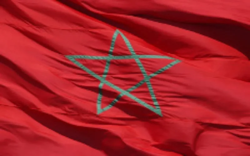 2011, l'année des Islamistes !