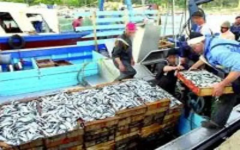 Sept tonnes de drogue dans du poisson à Agadir