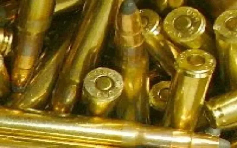 Un MRE arrêté avec des munitions au port de Tanger