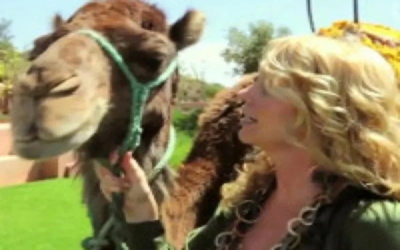 Le Maroc interdit une séance photos à cause d'un "bisou gay" 