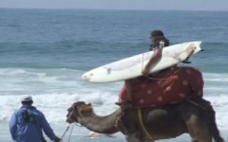 Côtes sud du Maroc, paradis des sports nautiques