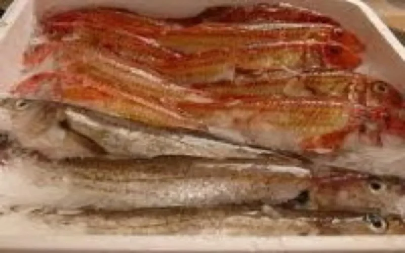 Du poisson impropre à la consommation refusé par l'Europe, vendu au Maroc