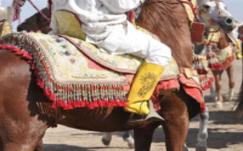 Fantasia traditionnelle lors du Festival des Roses de Kalaat M'gouna