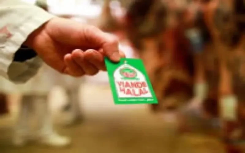 France, la révolution du halal