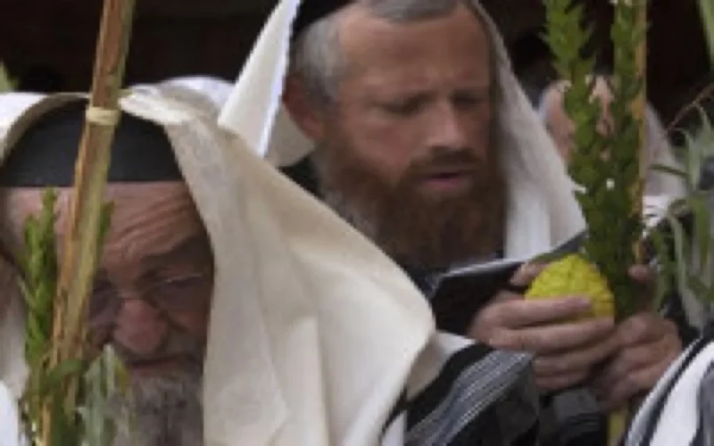 Israël fête Souccot avec du citron marocain