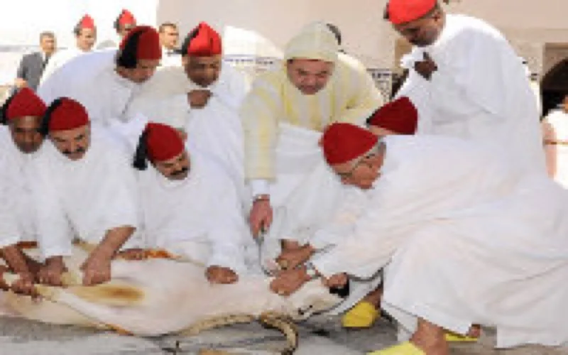 Aïd Al Adha : les moutons offerts par le palais aux ministres marocains seraient haram