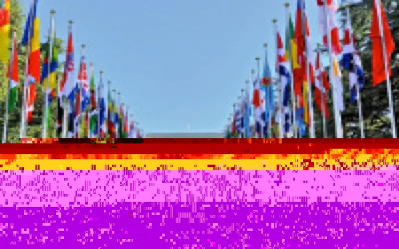 Le Maroc élu au Conseil des droits de l'Homme de l'ONU