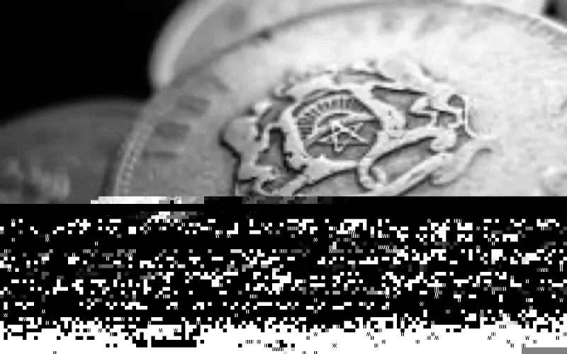 Fuite de capitaux : l'Etat accuse les Marocains du monde