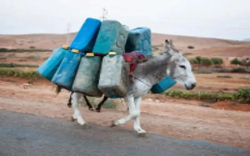 Malgré les tensions entre le Maroc et l'Algérie, les affaires se portent bien