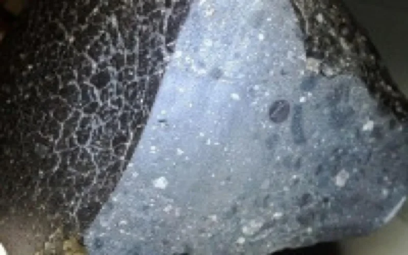 "Black beauty" la météorite marocaine qui venait de Mars