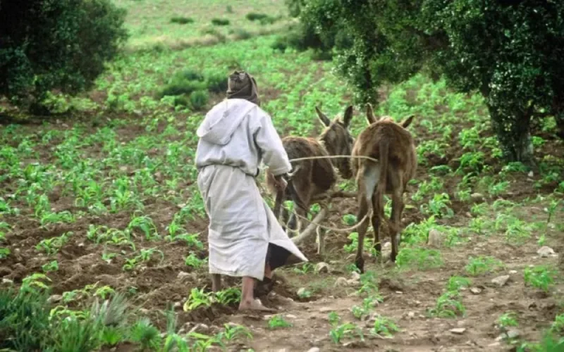 Le Maroc reprend les dernières terres appartenant aux colons français