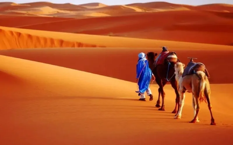 Maroc : la part du tourisme de plus en plus importante dans l'économie