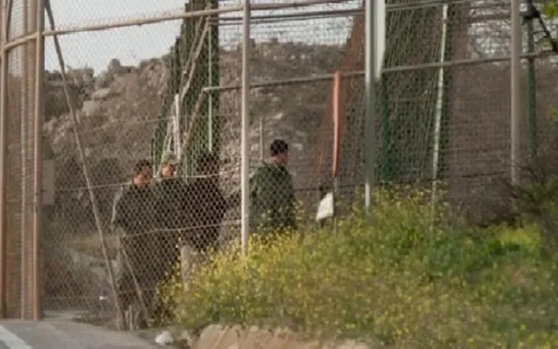 Que font les forces auxiliaires marocaines entre les clôtures de Melilla ?