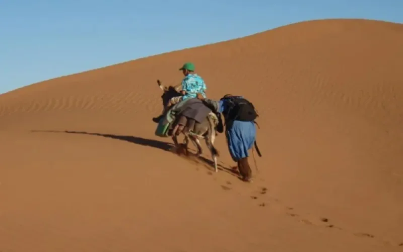 Insolite : Tom Hanks fait du troc au Maroc. Trois mules contre des boissons fraîches