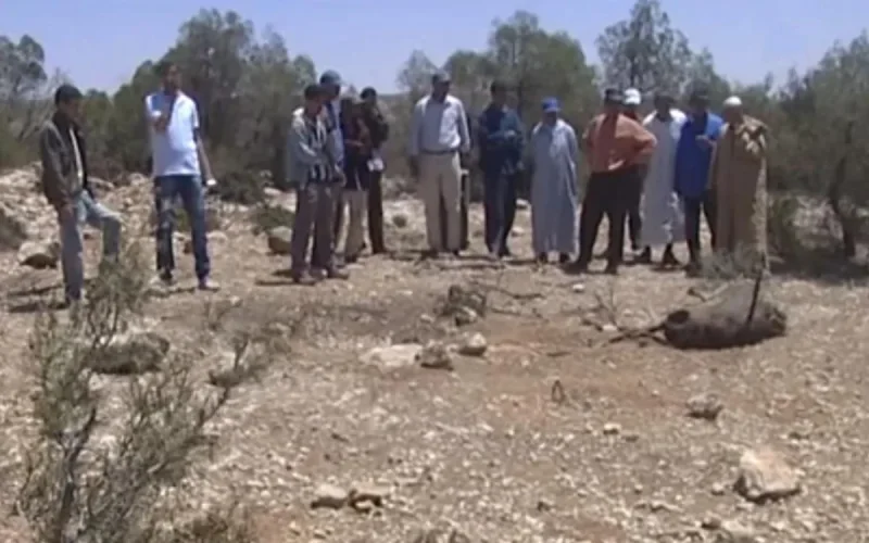 Un mort après une attaque de sanglier à Essaouira