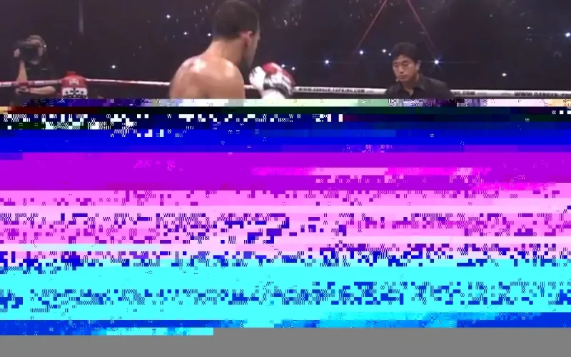 Le KO de Badr Hari élu l'un des meilleurs au monde