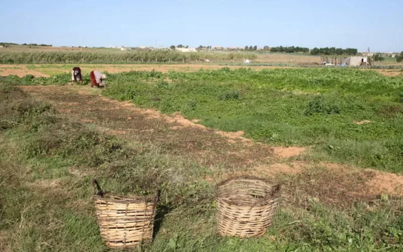 Six morts dans une tuerie à Kénitra