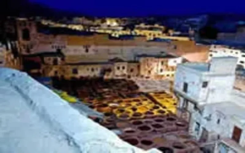 Des hommes d'affaires suisses à Fès