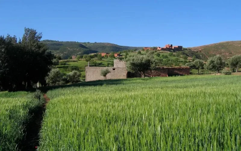 Deux Français retrouvés morts à El Hajeb