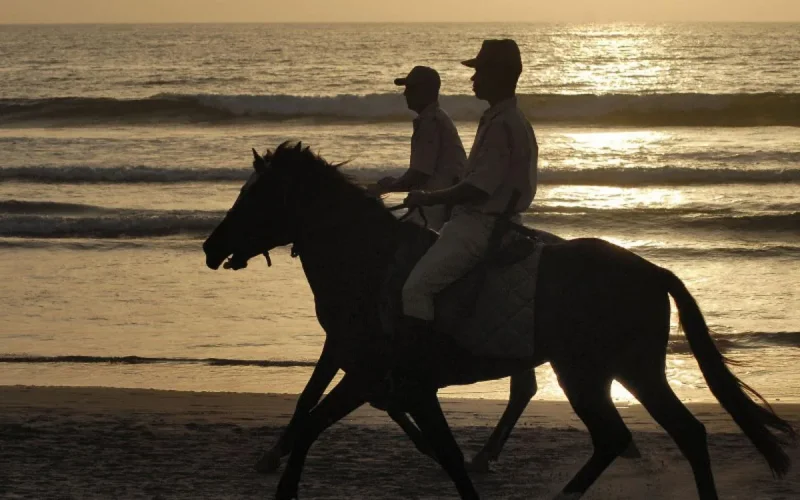 Maroc : création d'une police de l'environnement