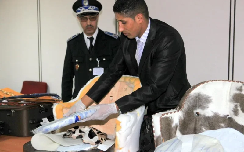 Cocaïne : Année record à l'aéroport Mohammed V de Casablanca