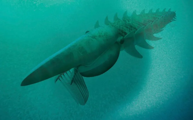 Un monstre marin de plus deux mètres découvert au Maroc