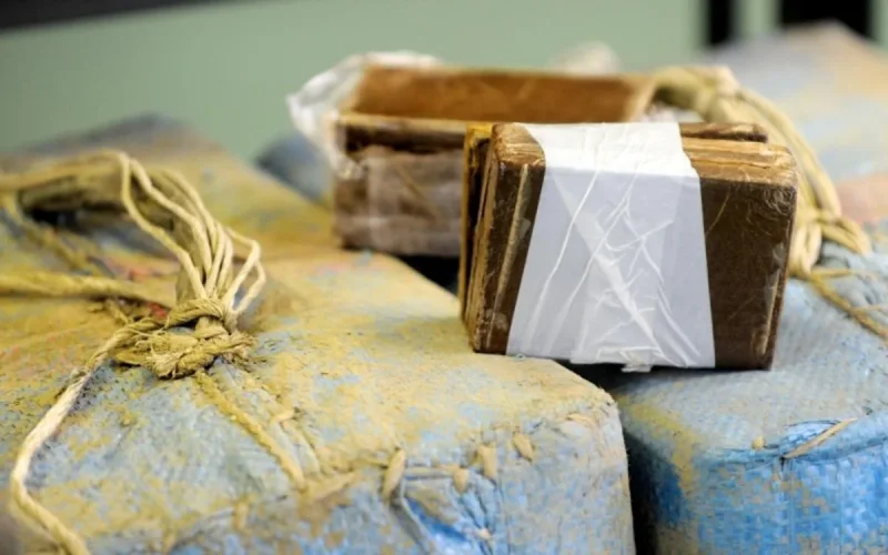 Le Maroc, 1er fournisseur de haschich en Europe selon la douane française