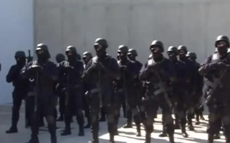 Vidéo : démantèlement d'une cellule terroriste à Selwane