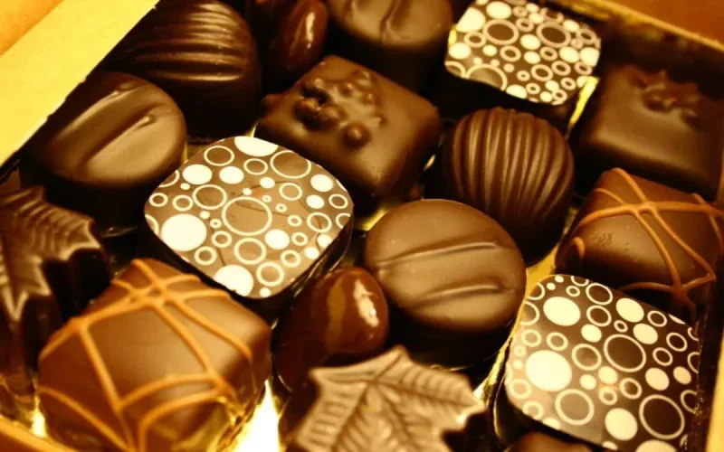 Le Maroc envoie du chocolat à Bouteflika lors de son hospitalisation en France 