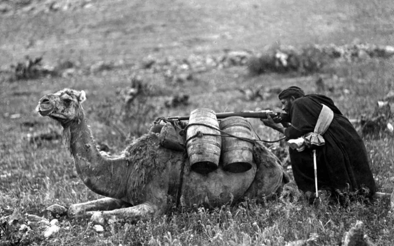 Un sondage confirme l'utilisation par l'Espagne d'armes chimiques dans le Rif