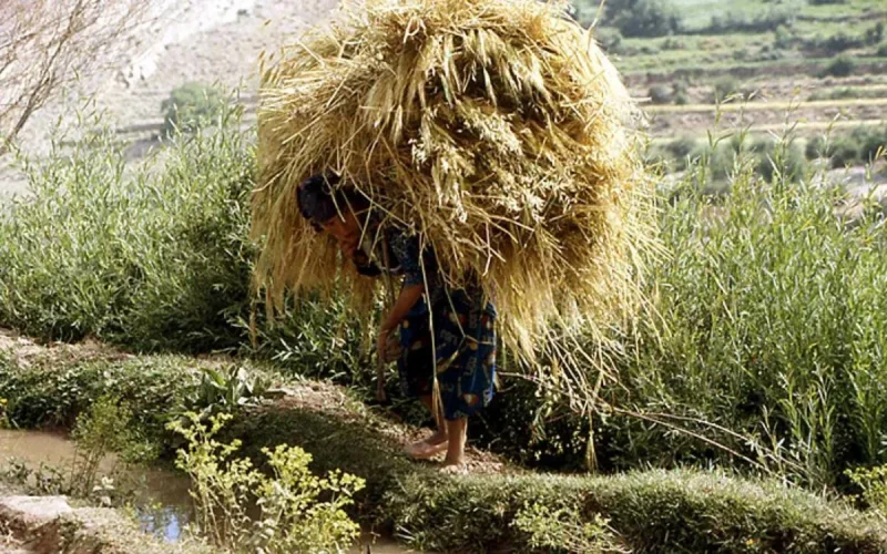 Appel à baisser les salaires des ministres et députés pour sauver le Maroc de la crise