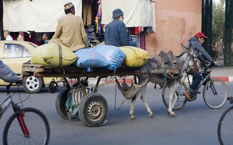 Un policier tué par une charrette à Marrakech