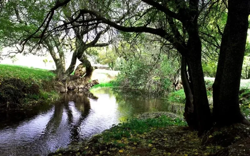Une petite visite à Ifrane ?