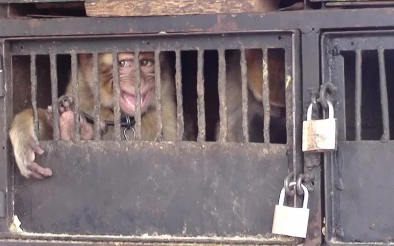 "Aux exilés de Jamaa El Fna"