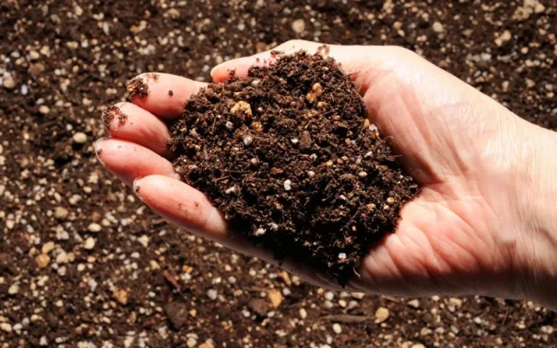 Des engrais cancérigènes menacent la vie des Marocains