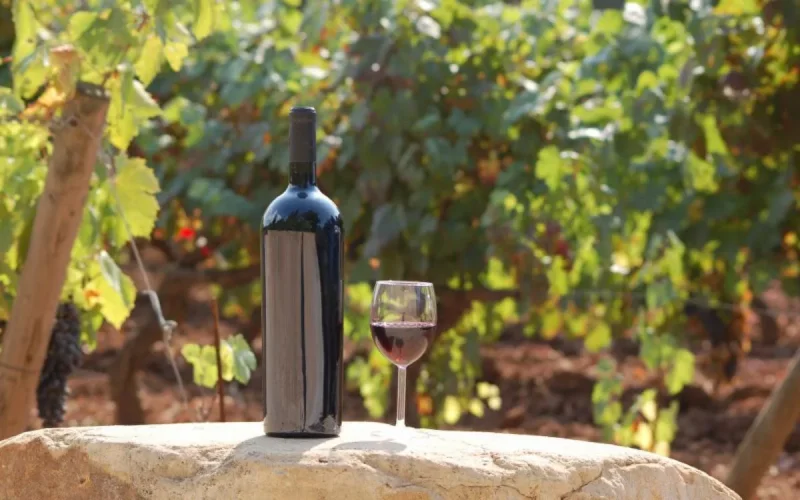 Le Maroc deuxième exportateur de vin en Afrique
