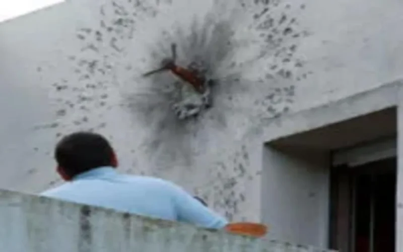 Corse : Les Marocains pris au piège