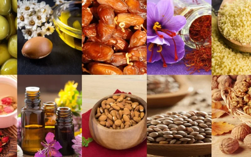 Le pavillon marocain à la semaine verte de Berlin (vidéo)