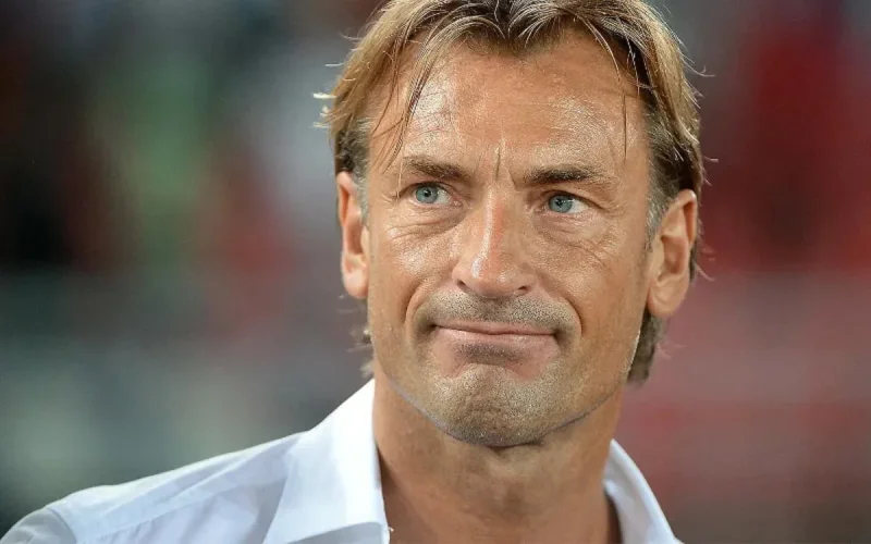 Le Maroc veut Hervé Renard comme sélectionneur